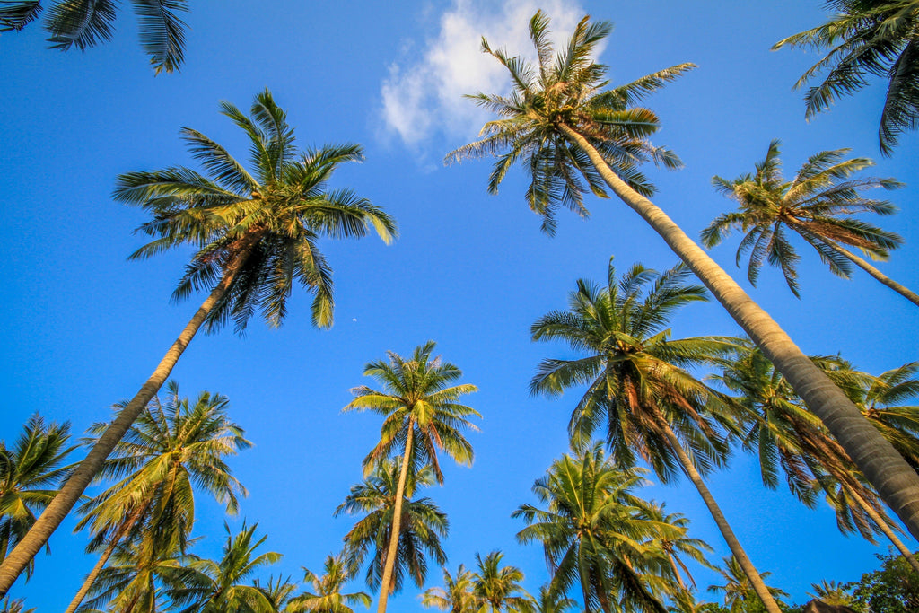 "The Hawaiian Secret to Everyday Peace: Meet Ho'oponopono"